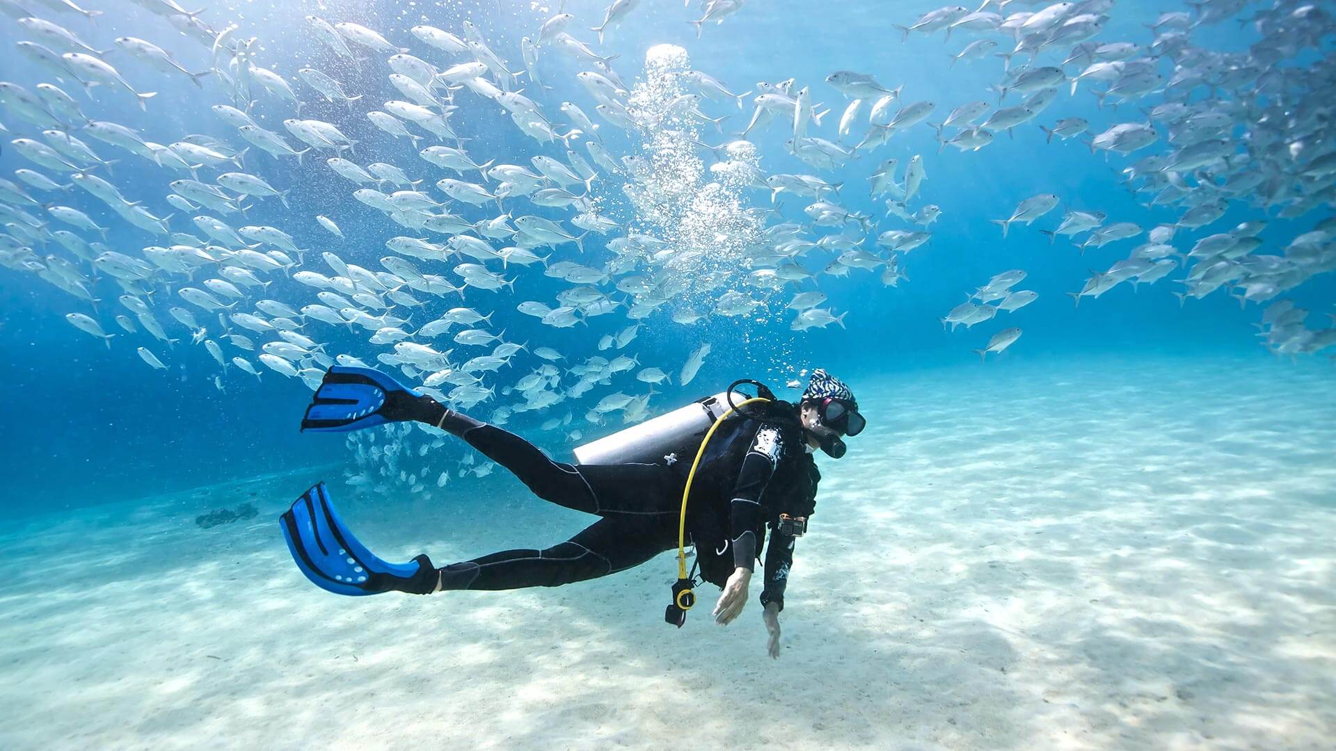 scuba-diving-phuket-with-aussie-divers