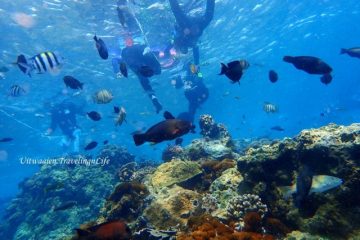 【台灣潛水】綠島學潛水 從這裡愛上大海