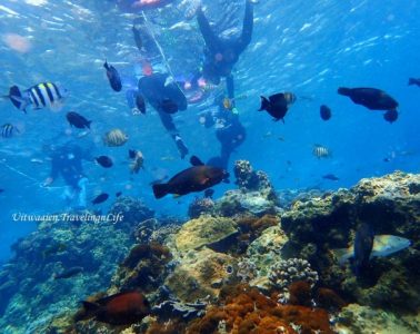 【台灣潛水】綠島學潛水 從這裡愛上大海