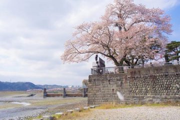 DCFever旅遊網推介： 東京必去攝影景點推薦