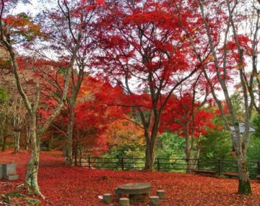 【斗斗宅記】日本．京都．笠置山自然公園