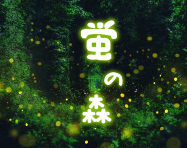 D2 Place 《螢の森The Forest Light》 –  尋找冬日螢火蟲　揭開森林神秘面紗
