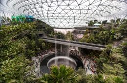 新加坡消息 — 星空花園 隆重開幕！