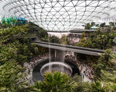 新加坡消息 — 星空花園 隆重開幕！