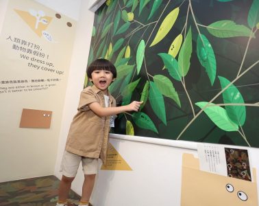 龍虎山環境教育中心呈獻 ：「動物的煩惱日常2021」展覽